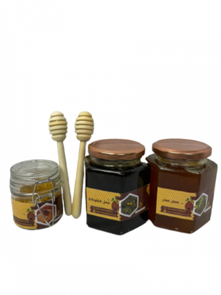 صورة عرض العائلة