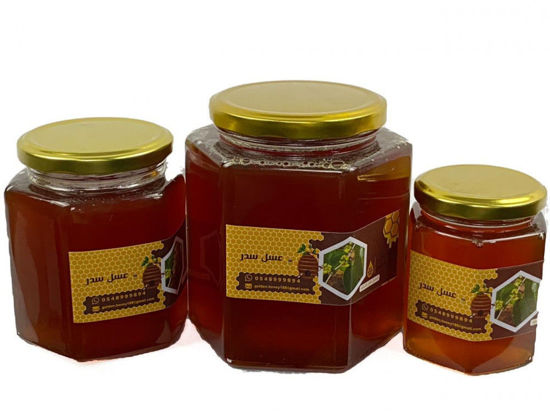 صورة عسل سدر