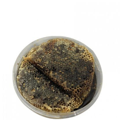 صورة عسل طلح بالشمع